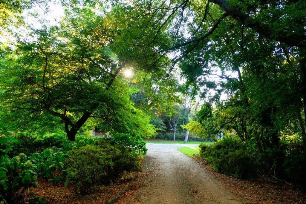 Kings Lodge Hotel 호그스백 외부 사진