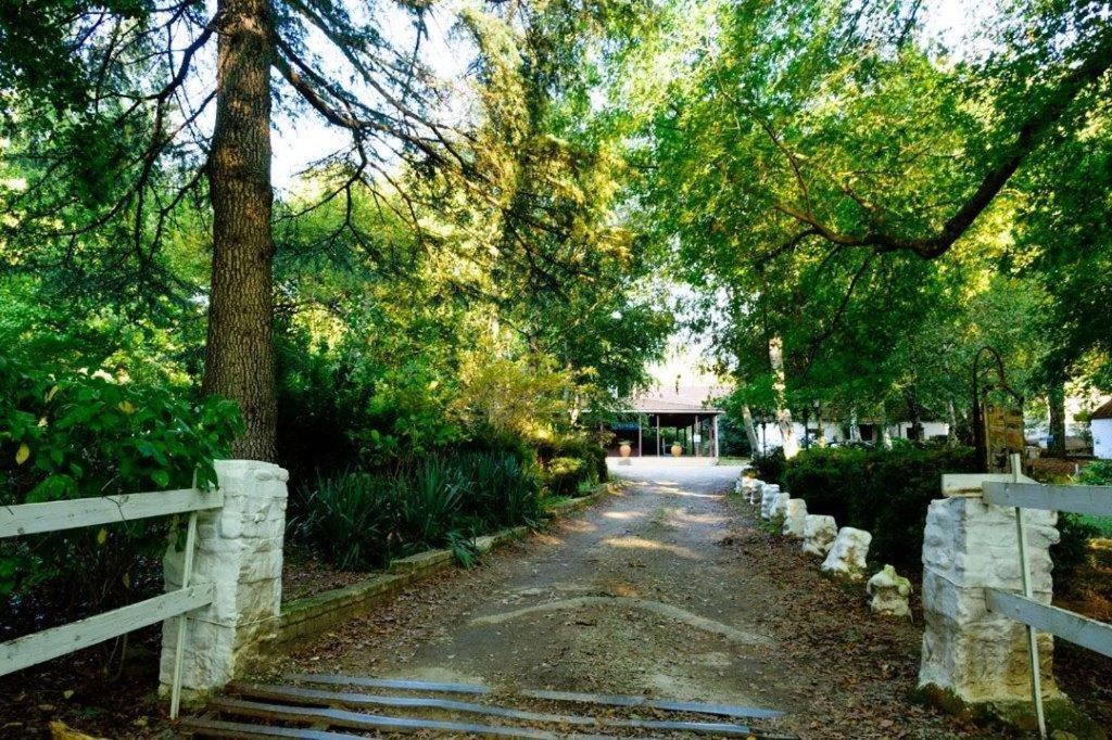 Kings Lodge Hotel 호그스백 외부 사진